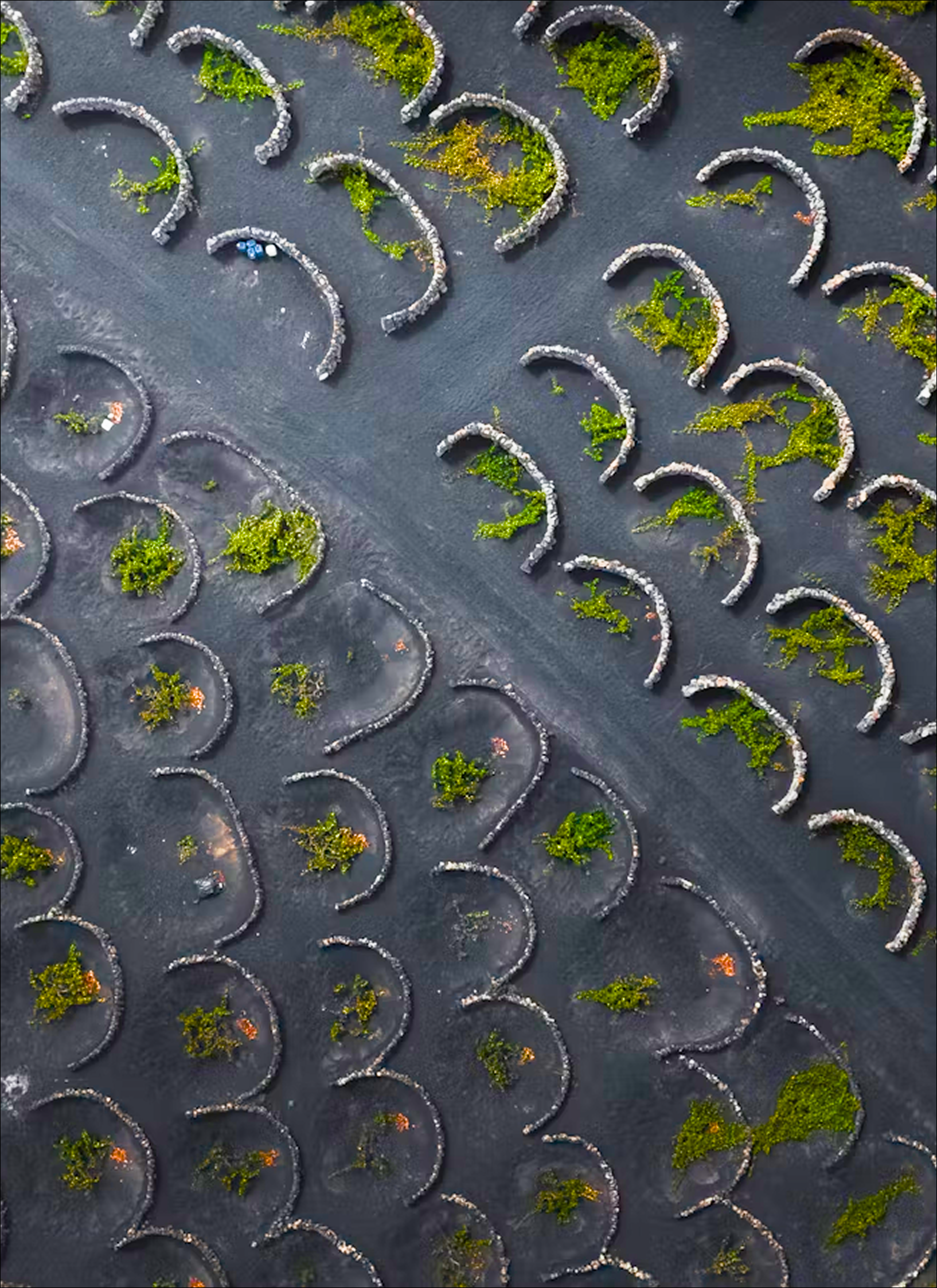 Climate & Sustainability